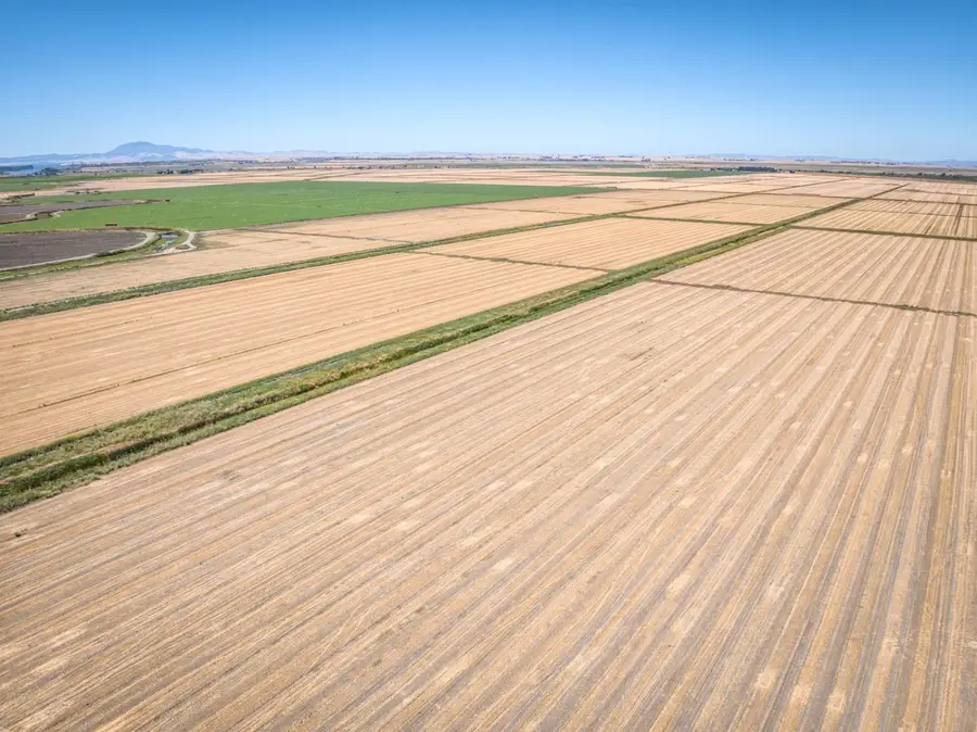 9701 State Highway 220, Walnut Grove, CA 95690 - Image #3