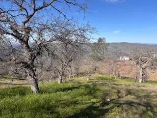 1510 Lilley Mountain, Coarsegold, CA 93614 - Image #2