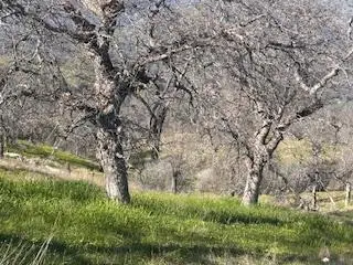 1510 Lilley Mountain, Coarsegold, CA 93614 - Image #3