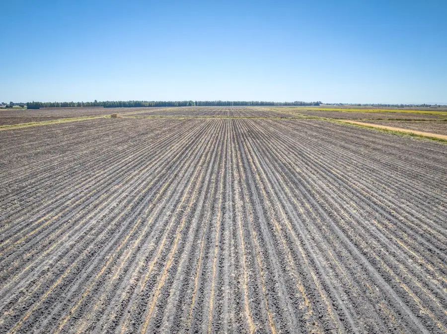 0 State Highway 84, Walnut Grove, CA 95690 - Image #3