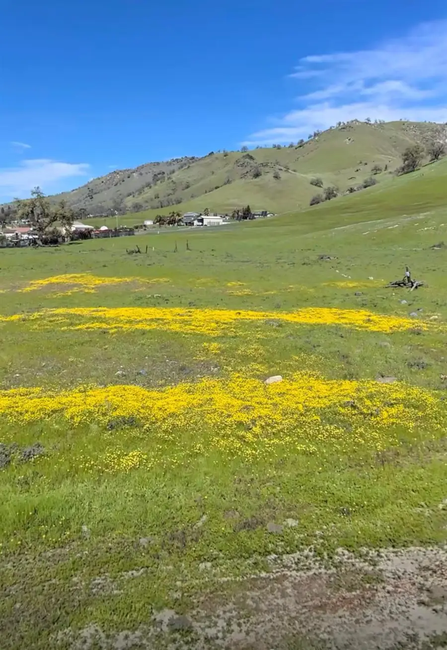 6050 Dogwood Lane, Sanger, CA 93657 - Image #2