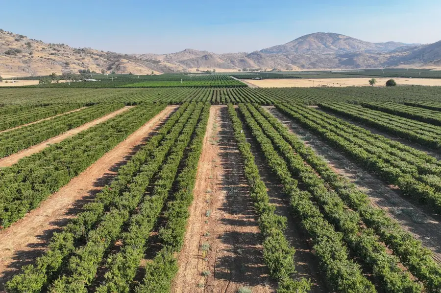 3905 S Hills Valley Road, Orange Cove, CA 93646 - Image #3