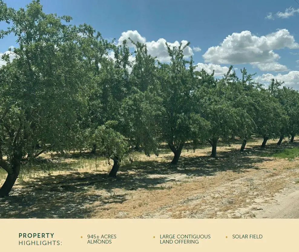 12250 S Jameson Avenue, Caruthers Raisin City, CA 93706 - Image #1