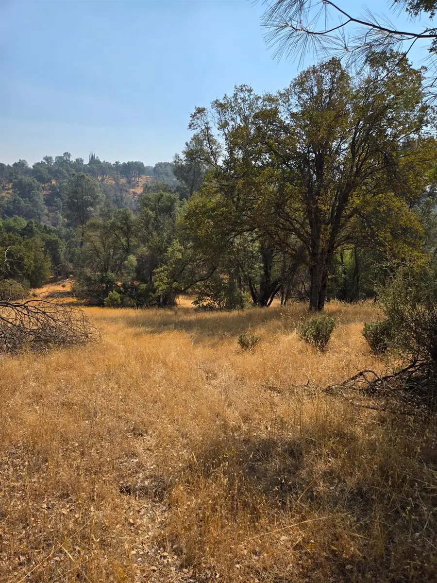 3813 Jones Creek Road, Mariposa, CA 95338 - Image #3