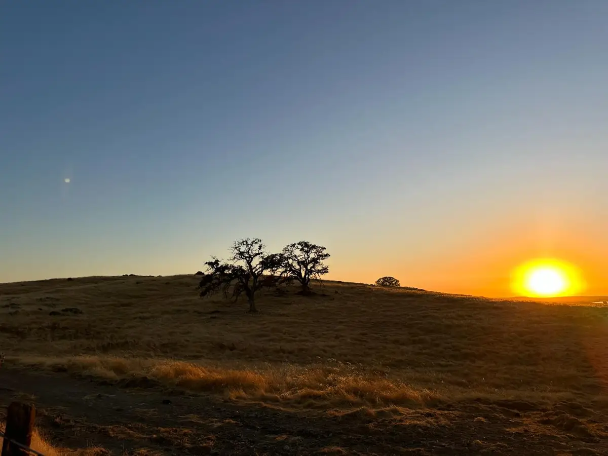 9775 Paraiso Boulevard, La Grange, CA 95329 - #1