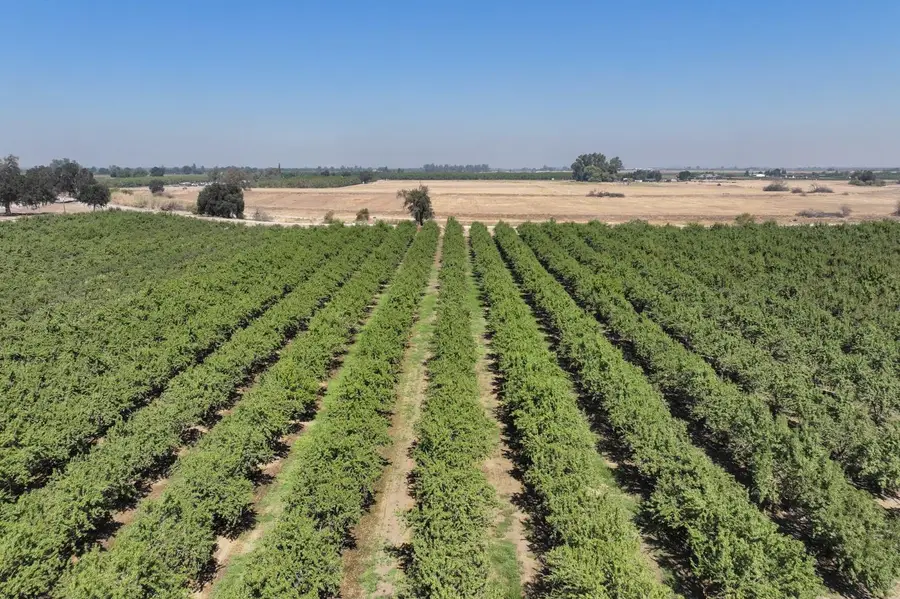 0 9 1/2 Avenue, Hanford, CA 93230 - Image #2