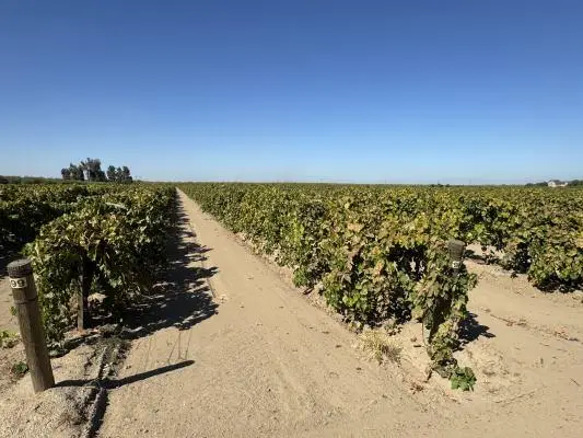 1 S Bishop Avenue, Kerman, CA 93630