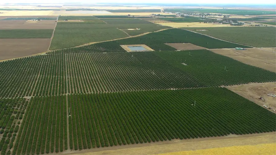 265 Road 240, Ducor, CA 93218 - Image #3