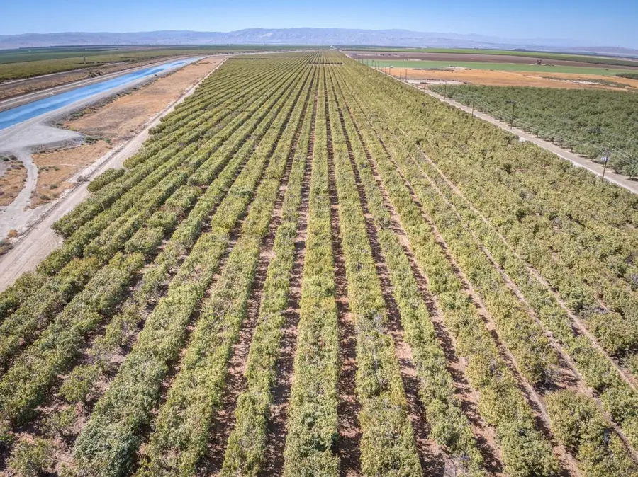 19060 Highway 166, Bakersfield, CA 93311 - Image #3