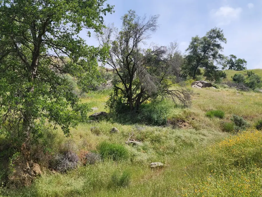 1 Baywood, Yokuts Valley, CA 93675 - Image #3