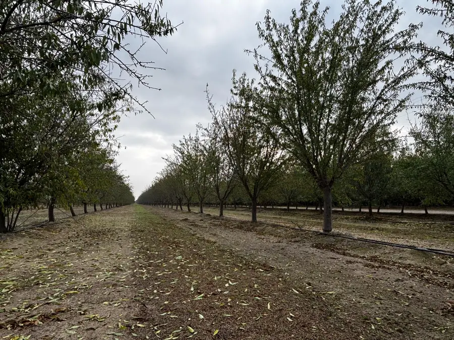 32380 Avenue 10, Madera, CA 93636 - Image #2