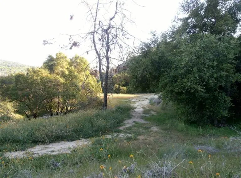 37 Lynx Lane, Prather, CA 93651 - Image #2