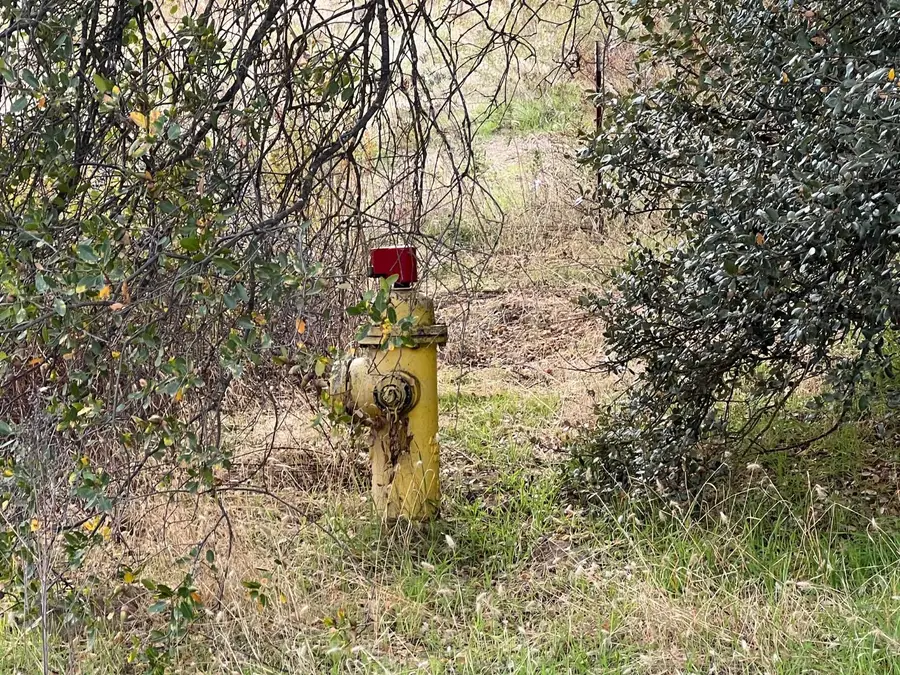 1 Hangtree Court, Oakhurst, CA 93644 - Image #3