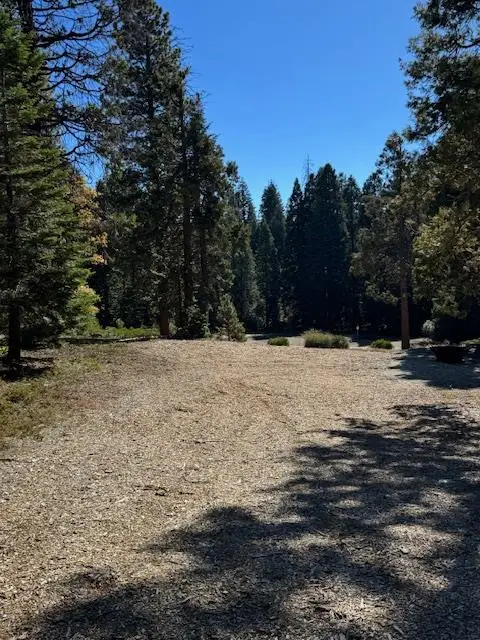 42144 Tourmaline Ln, Shaver Lake, CA 93664 - Image #2