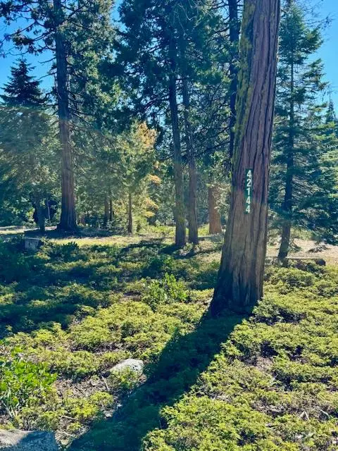 42144 Tourmaline Ln, Shaver Lake, CA 93664 - Image #3