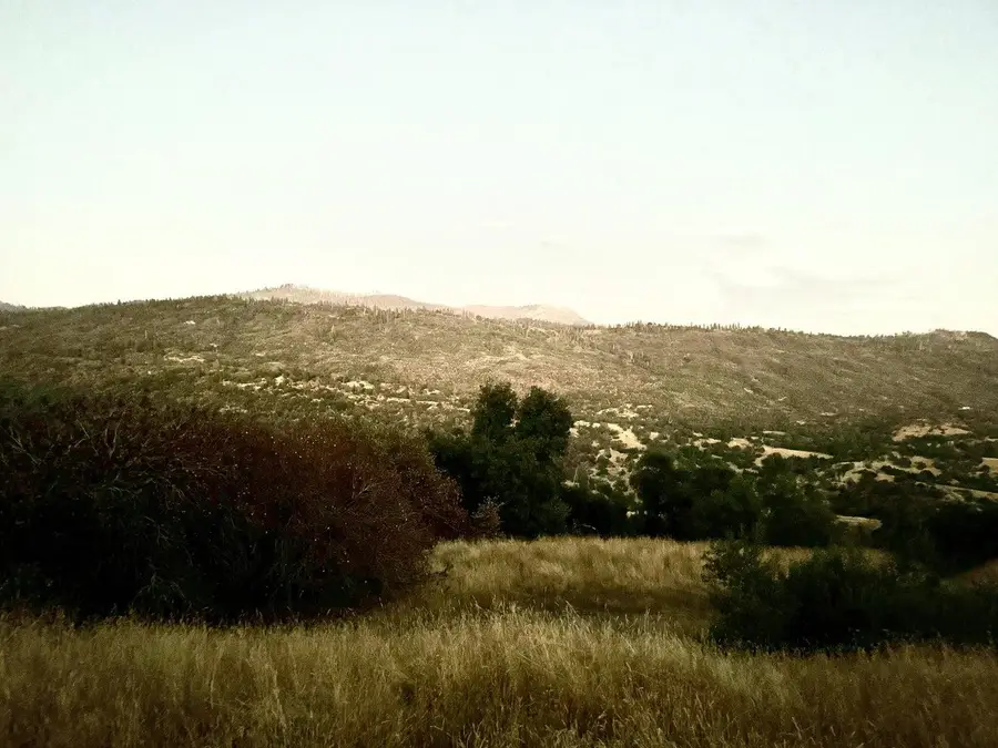 369 Hogback, Miramonte, CA 93641 - Image #2