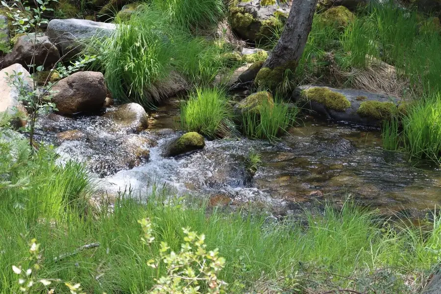 2403 Parmabelle Road, Mariposa, CA 95338 - Image #2