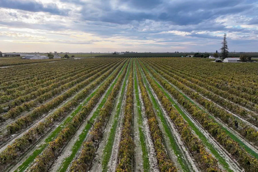 11836 S Hughes Avenue, Caruthers, CA 93609 - Image #2