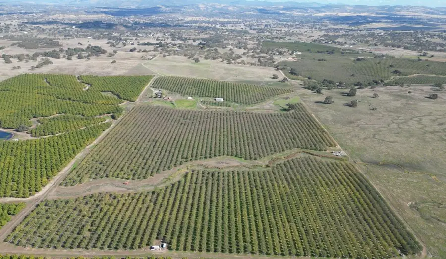 13571 Wimer, Farmington, CA 95326 - Image #2