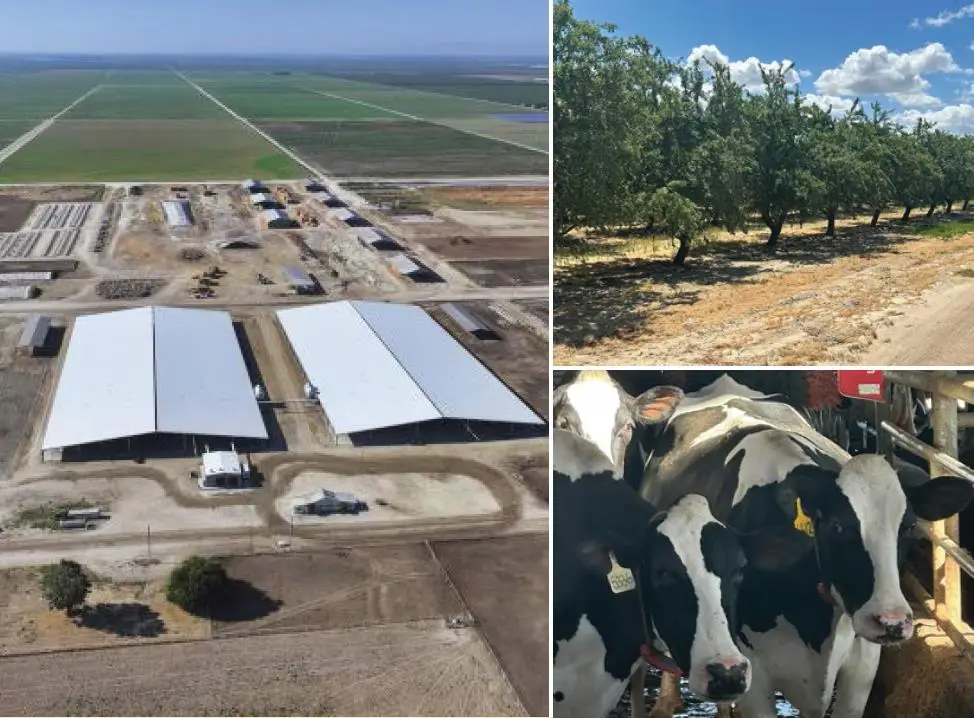 10255 W Manning Avenue, Fresno, CA 93706 - Image #1