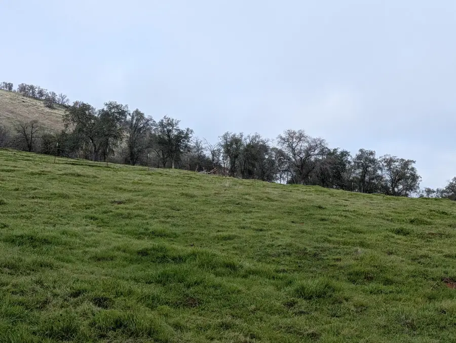 7079 Palomino Drive, Sanger, CA 93657 - Image #2