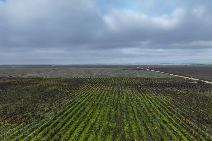 22322 Road 28 1 2, Madera, CA 93638 - #3