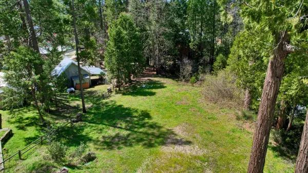 123 Dogwood Creek, Bass Lake, CA 93604
