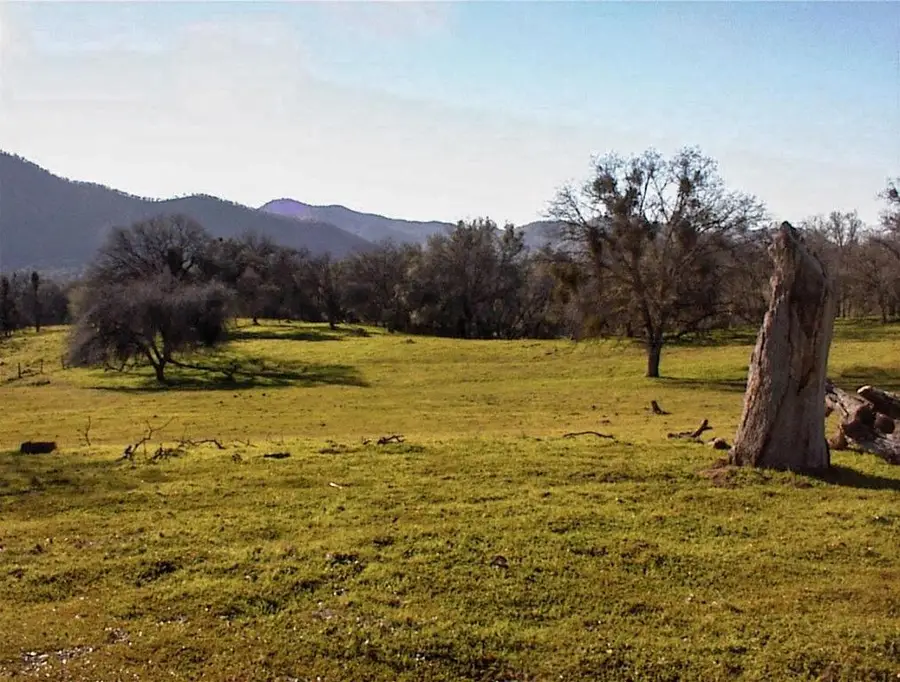 39950 Millwood Road, Dunlap, CA 93621 - Image #3