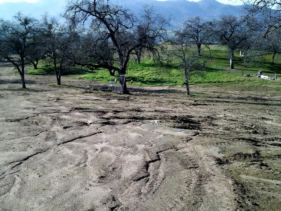38949 Roundtree Lane, Yokuts Valley, CA 93675 - Image #3