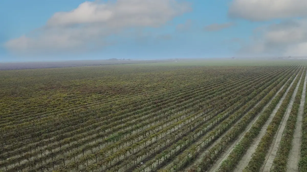 15765 Dickenson Avenue, Riverdale, CA 93656 - Image #1