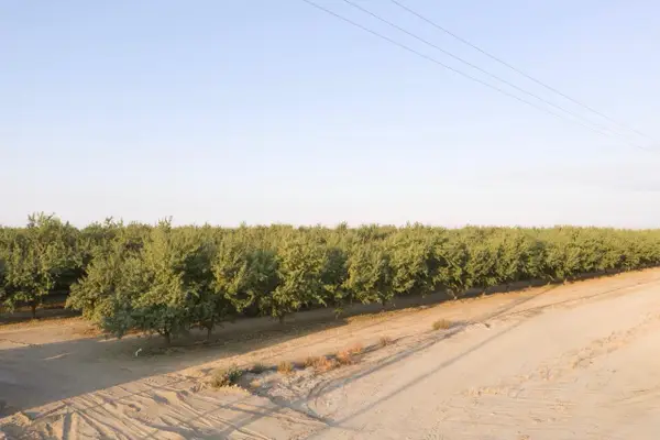 0 N Palm, Wasco, CA 93280