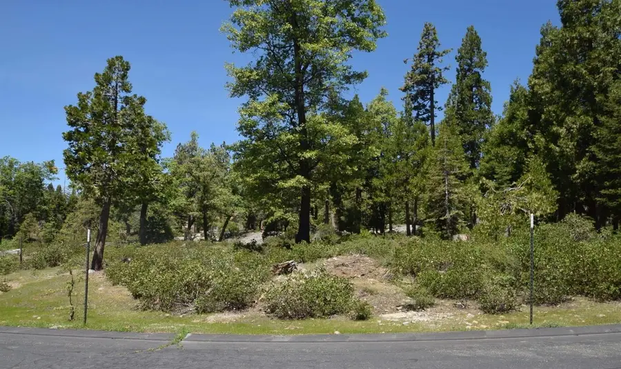 43006 Garnet Lane #lot36, Shaver Lake, CA 93664 - Image #3