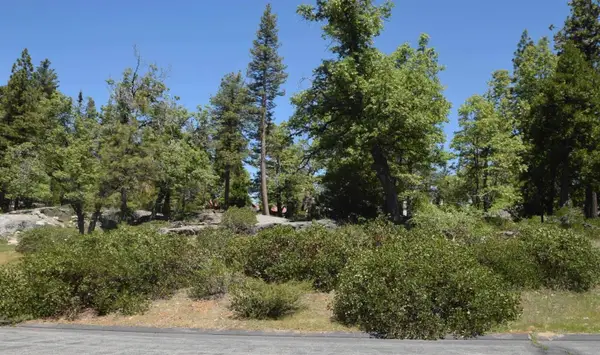 42768 Garnet Lane #Lot40, Shaver Lake, CA 93664