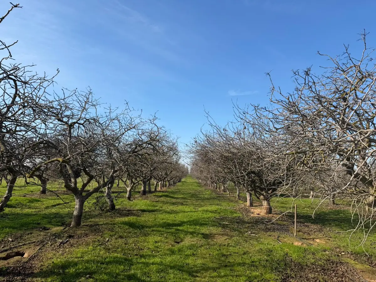 1 Rd 28 1/2, Madera, CA 93638 - Image #1