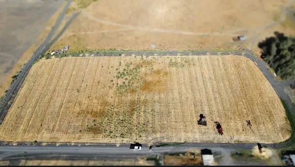 0 Reynolds Ave, Dos Palos, CA 93620