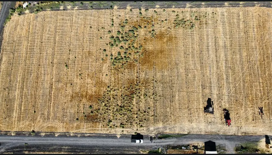 0 Reynolds Ave, Dos Palos, CA 93620 - #2