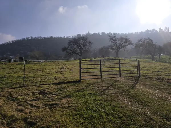 28733 Burrough Valley Rd, Tollhouse, CA 93667