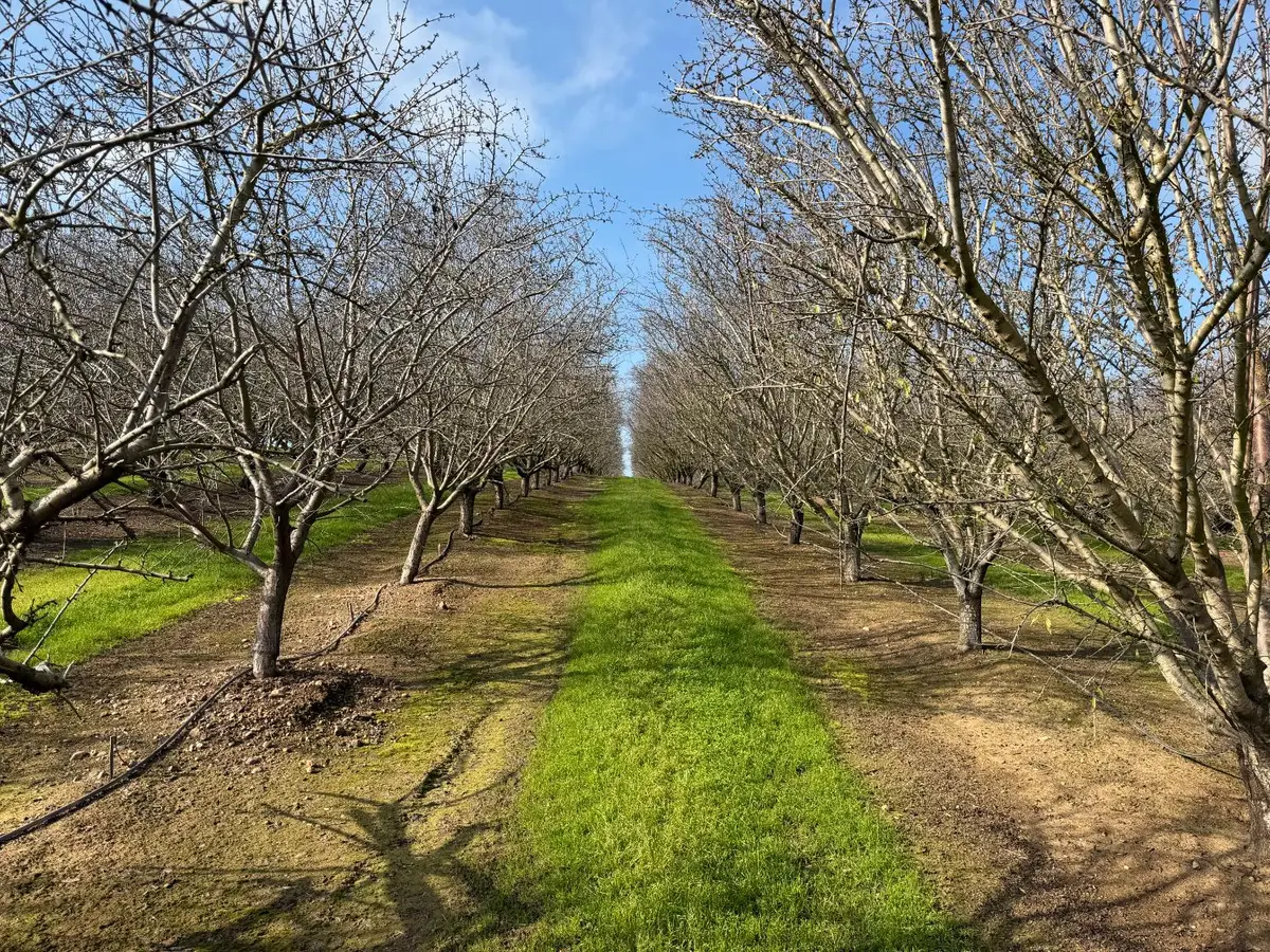 16501 28 Mile, Oakdale, CA 95361 - #1