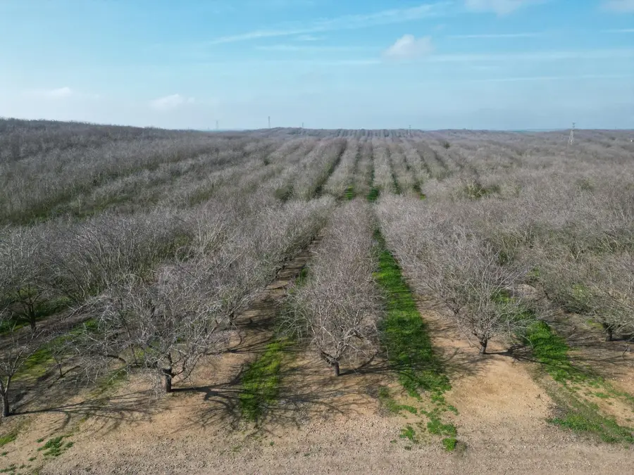 16501 28 Mile, Oakdale, CA 95361 - #3