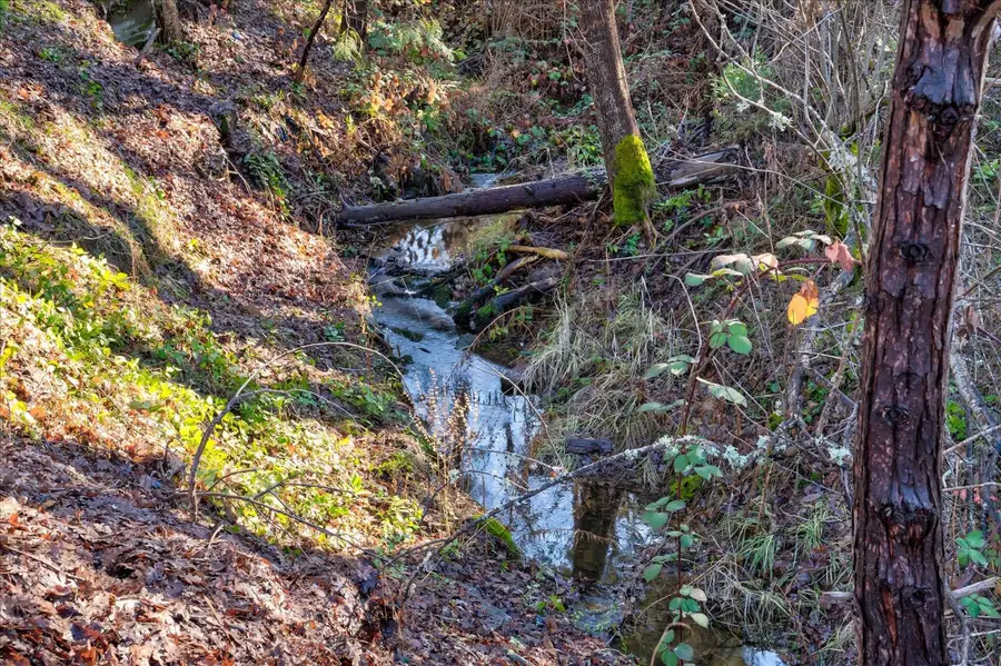 51354 Dorstan Drive, Oakhurst, CA 93644 - Image #3