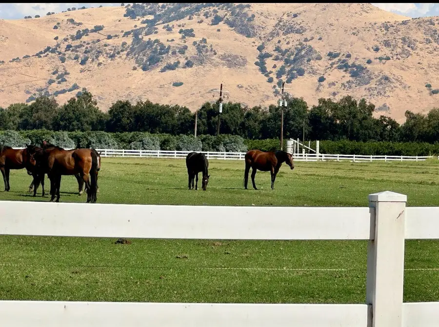 17281 E Belmont Avenue, Sanger, CA 93657 - Image #3