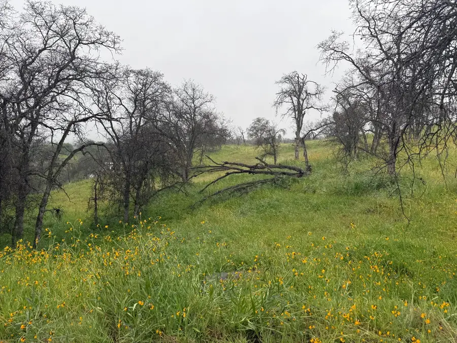 0 Hickory Lane, Yokuts Valley, CA 93675 - #2