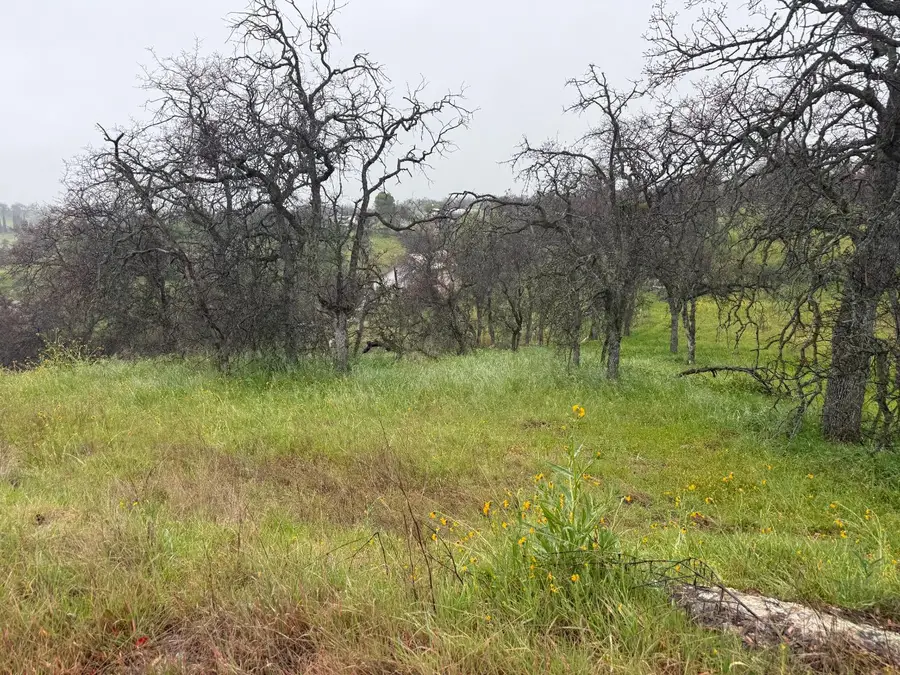 0 Hickory Lane, Yokuts Valley, CA 93675 - #3