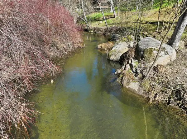 40833 Winding Way, Oakhurst, CA 93644