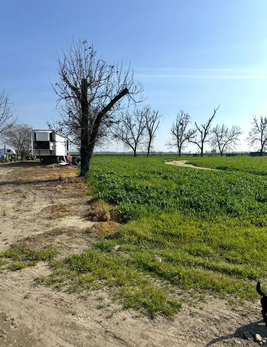 21260 S Elm Avenue, Laton, CA 93242 - #2