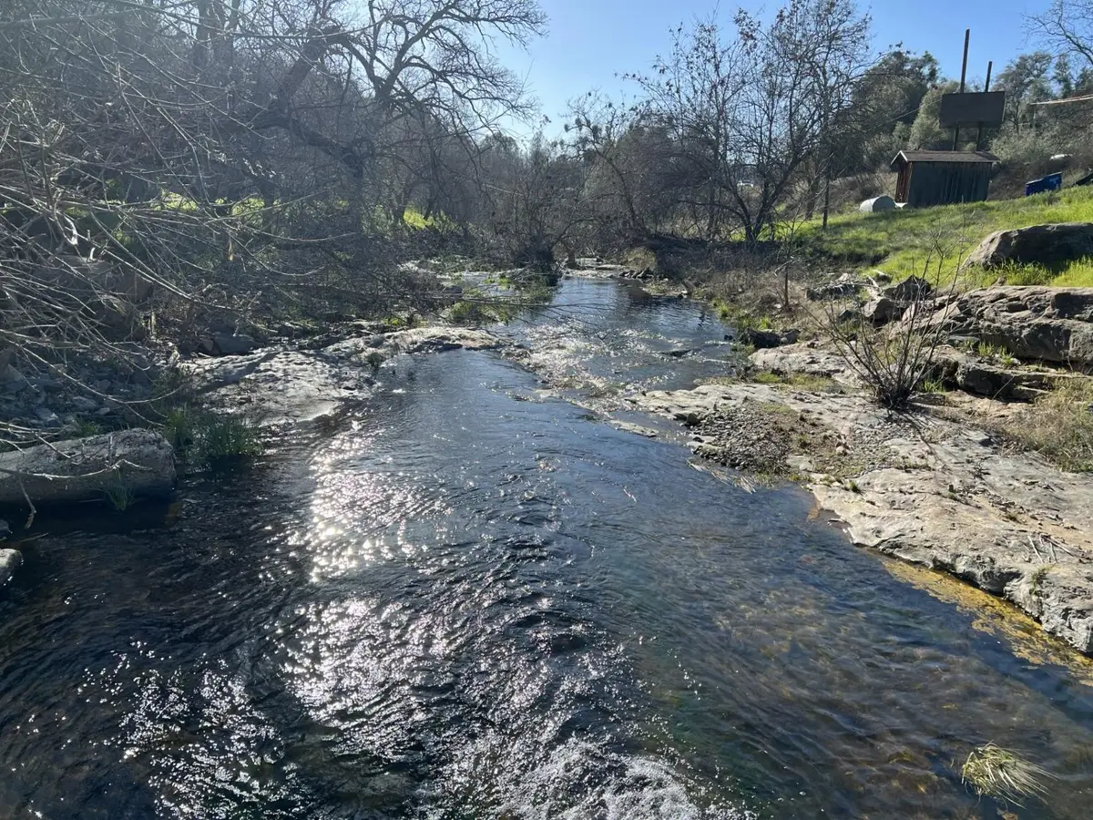 35415 Highway 41, Coarsegold, CA 93614 - #1