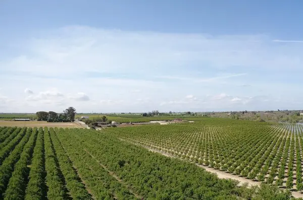 5923 N Biola Avenue, Fresno, CA 93723