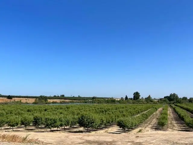 5923 N Biola Avenue, Fresno, CA 93723 - Image #2