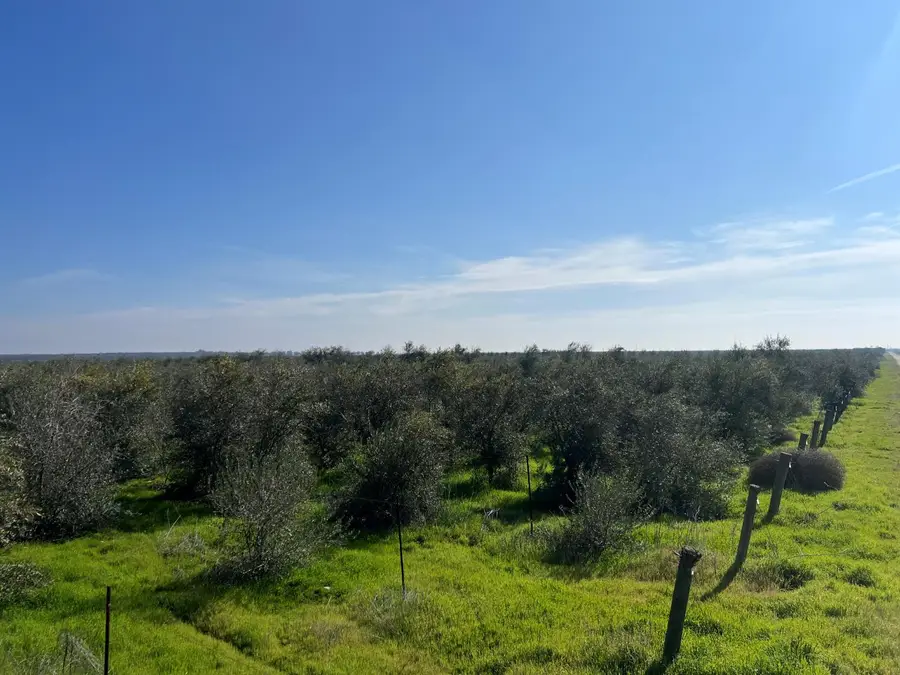 0 American Avenue W, Kerman, CA 93630 - #2