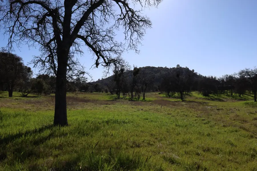 10 Douglas Road S, Coarsegold, CA 93614 - #3